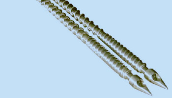 機筒螺桿塑化時需注意哪幾點？